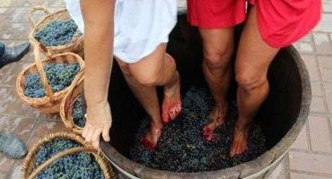 Jak správně lisovat hrozny na víně doma a vytvořit lis vlastníma rukama